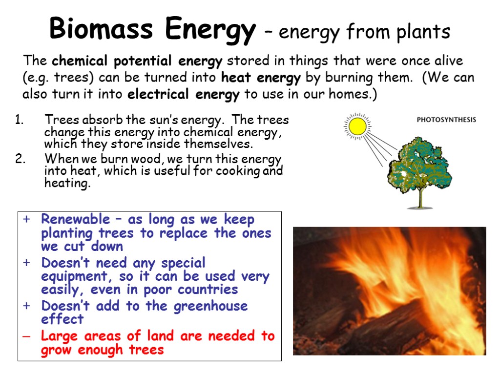Biomass Energy – energy from plants Trees absorb the sun’s energy. The trees change